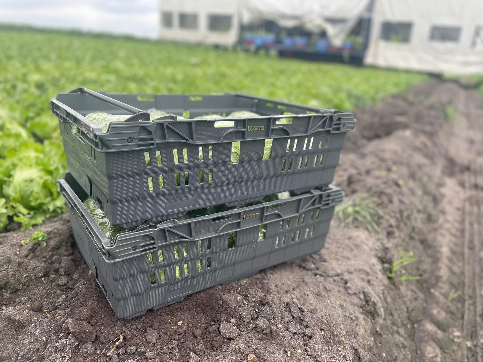 Nestable crates